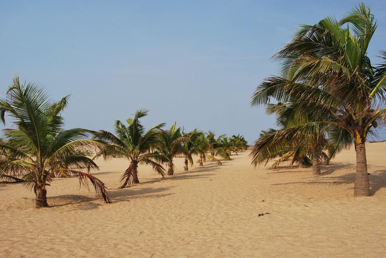 A&Y Wild Camp Ghana Villa Keta Exterior photo